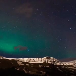 Meet your Posher, Julian